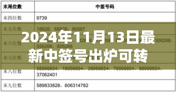 揭秘，2024年最新可轉(zhuǎn)債中簽號(hào)出爐背后的影響與時(shí)代地位分析