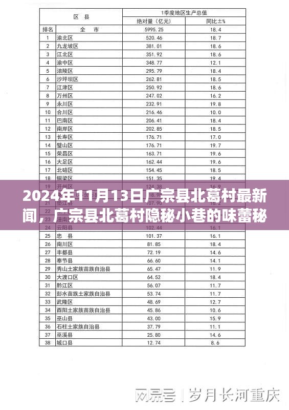 廣宗縣北葛村隱秘小巷的美食秘境，最新探秘之旅（2024年11月13日）