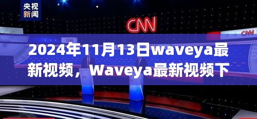 2024年11月13日Waveya最新視頻觀察，獨(dú)特視角下的思考