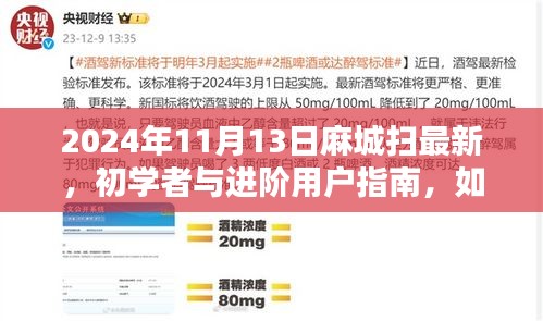 麻城掃最新技能指南，初學(xué)者與進(jìn)階用戶如何掌握