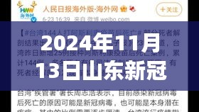 山東新冠疫情最新報告，多維視角下的深度分析（2024年11月13日）