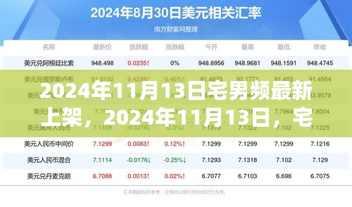 2024年11月13日宅男頻全新上架，引領(lǐng)娛樂潮流之巔