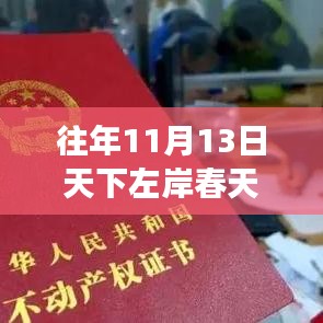 往年11月13日天下左岸春天的最新動(dòng)態(tài)與深度洞察影響