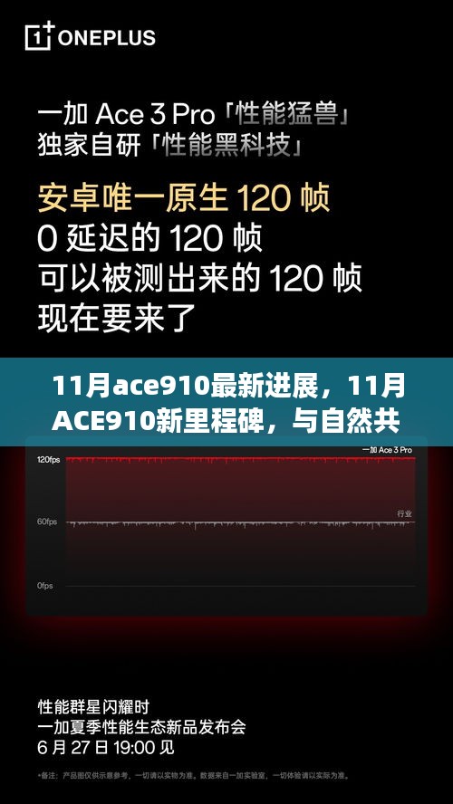 ACE910新里程碑，與自然共舞的心靈靜謐之旅（11月最新進(jìn)展）