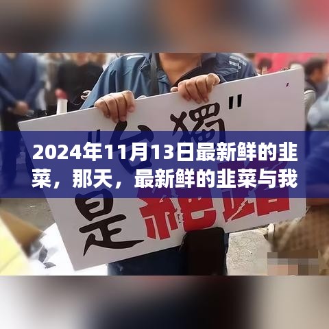 新鮮韭菜與溫馨故事，2024年11月13日的邂逅