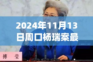 楊瑞案背后的故事，變化的力量與自信的重生最新進(jìn)展，周口楊瑞案深度剖析（2024年11月13日）