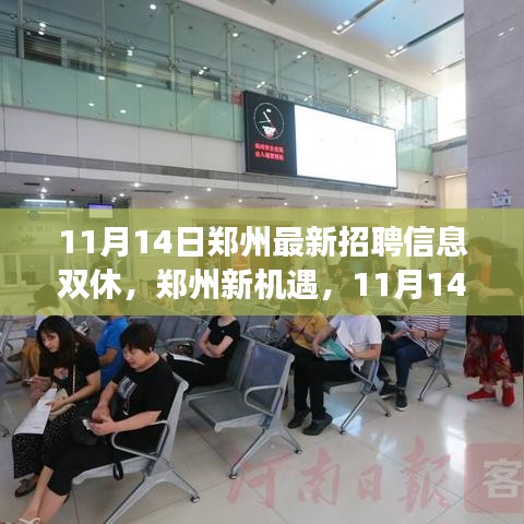 鄭州最新招聘信息揭秘，學(xué)習(xí)與成長之旅，雙休路上的自信與成就感