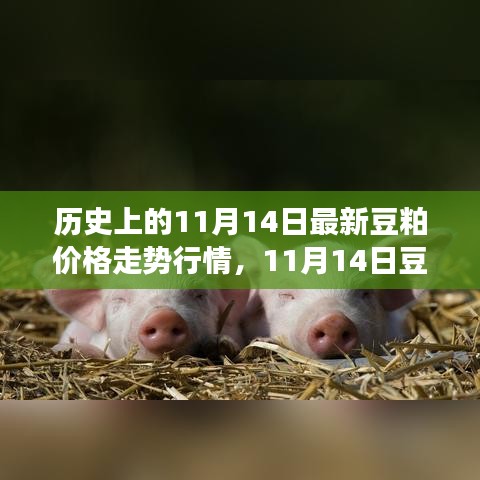 歷史上的豆粕價(jià)格走勢分析，回顧與預(yù)測