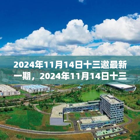 聚焦觀點之爭，深度解析2024年最新一期十三邀