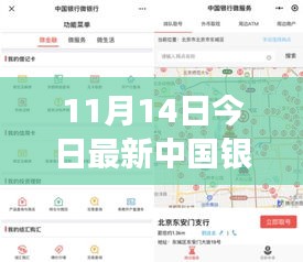 揭秘，中國銀行最新外匯牌價(jià)動態(tài)及影響力解析（11月14日更新）