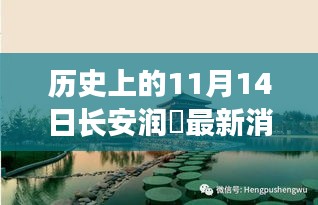 長安潤璟秘境探索，歷史與美食的碰撞時刻，最新消息揭秘秘密小店