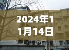 洛寧二手房最新信息探索，巷弄之韻與隱藏的小巷故事（最新信息門戶）