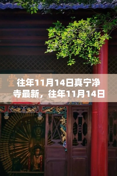 往年11月14日真寧凈寺探訪攻略，領略古寺魅力，最新指南全解析