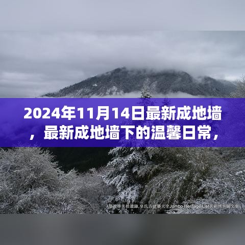 最新成地墻下的溫馨日常，友誼與愛(ài)共筑美好家園的2024年1月記事