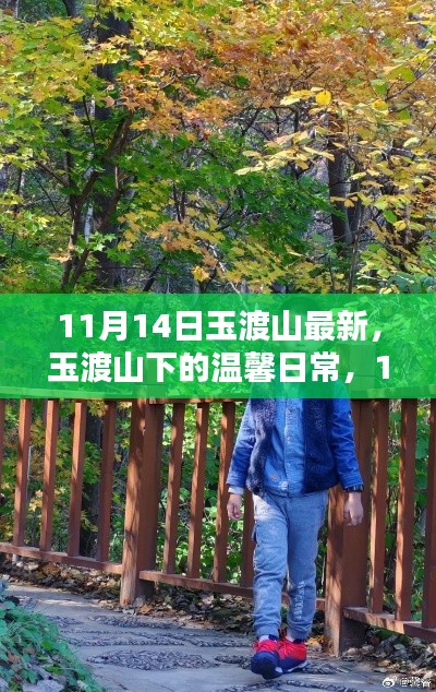 玉渡山下的溫馨日常，11月14日的歡樂時光記錄