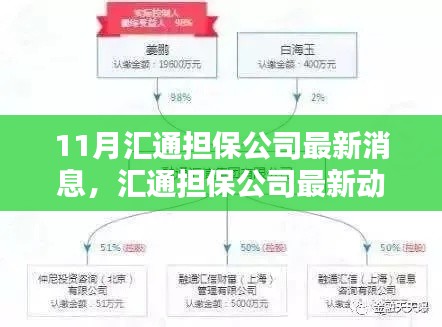 匯通擔保公司最新動態(tài)解析及觀點探析，11月最新消息速遞