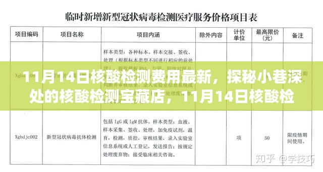 探秘核酸檢測寶藏店，揭秘最新核酸檢測費用新鮮事（11月14日更新）