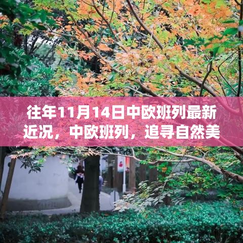 中歐班列秋日序曲，追尋自然美景與內(nèi)心寧靜之旅的最新近況