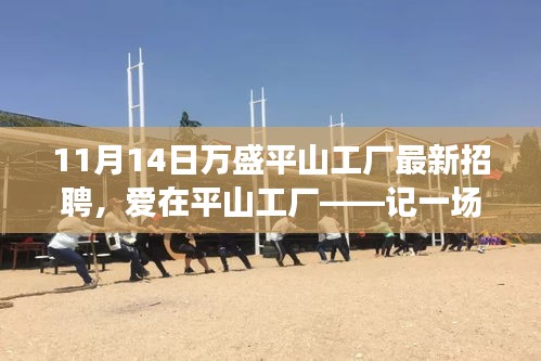 愛在平山工廠，最新招聘與求職之旅啟程