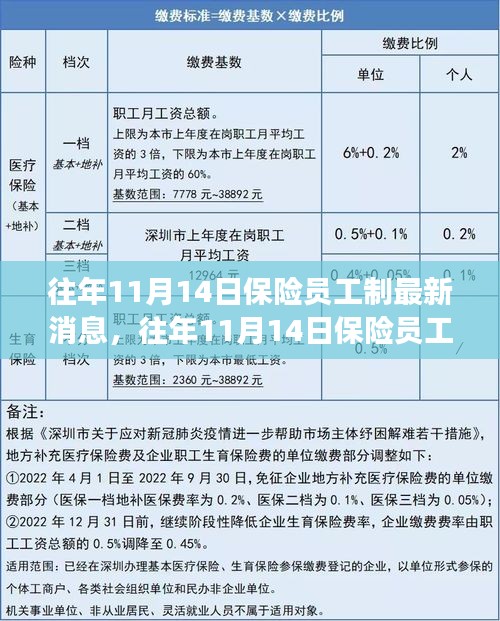 三大要點(diǎn)深度解讀，往年11月14日保險(xiǎn)員工制最新消息與更新解讀