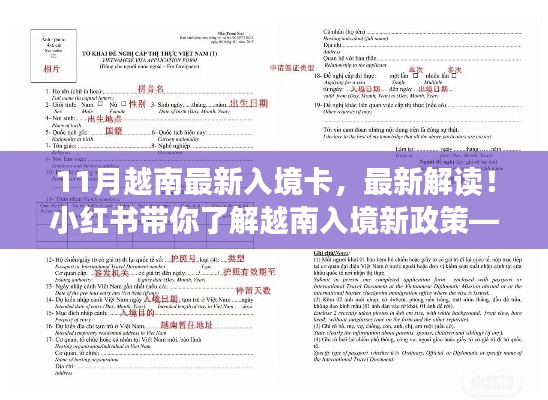 小紅書解讀，最新越南入境卡詳解及新政策解析