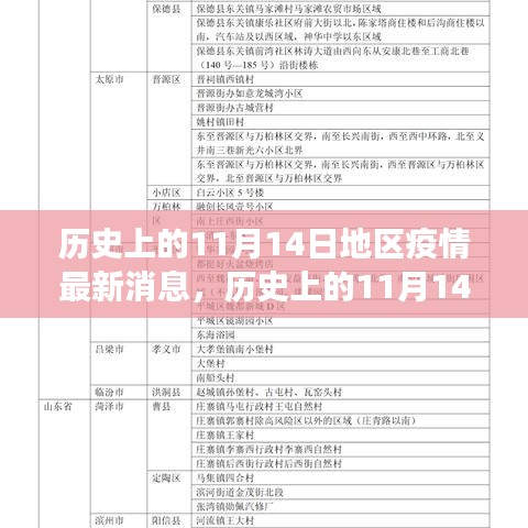 歷史上的11月14日全球疫情進展與地區(qū)動態(tài)分析，最新消息及進展概述