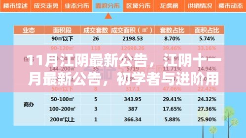 江陰十一月最新公告發(fā)布，初學(xué)者與進(jìn)階用戶指南詳解