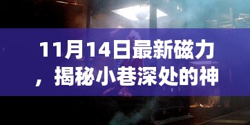 揭秘神秘寶藏，11月14日最新磁力小巷小店探秘之旅