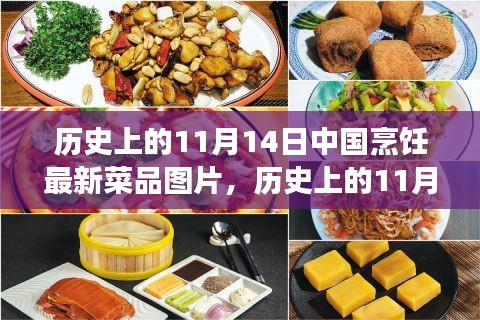 11月14日中國烹飪新菜品圖片展示，歷史菜品深度評測與介紹