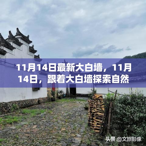 11月14日大白墻引領(lǐng)自然秘境之旅，探索內(nèi)心寧?kù)o與平和的奧秘