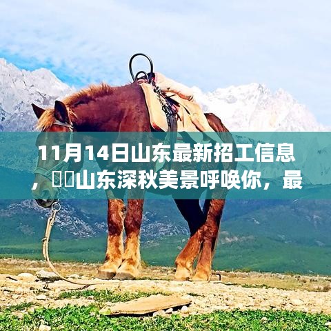 山東最新招工信息帶你領(lǐng)略深秋美景的心靈之旅啟程招募！