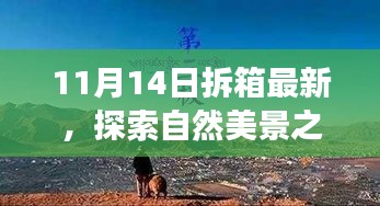 11月14日最新拆箱體驗，自然美景之旅，尋找內(nèi)心的寧靜與喜悅