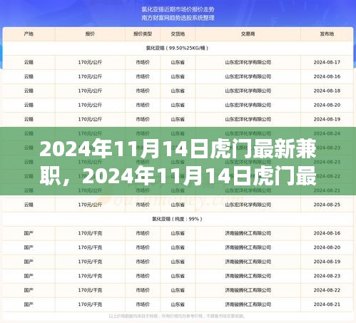 2024年11月14日虎門(mén)最新兼職，機(jī)遇與挑戰(zhàn)并存