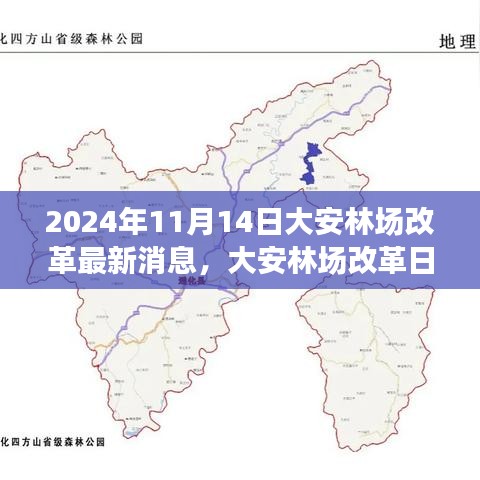 大安林場改革故事會(huì)，最新消息與溫馨改革之旅（2024年11月14日）