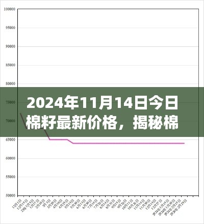 揭秘棉籽市場走勢，最新價(jià)格動態(tài)分析與預(yù)測（2024年11月14日）