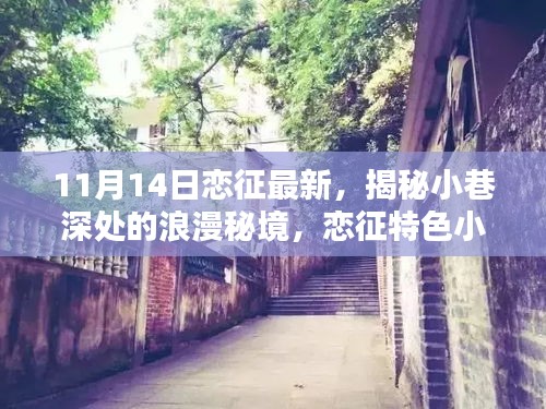 揭秘小巷深處的浪漫秘境，戀征特色小店的最新篇章（11月14日更新）