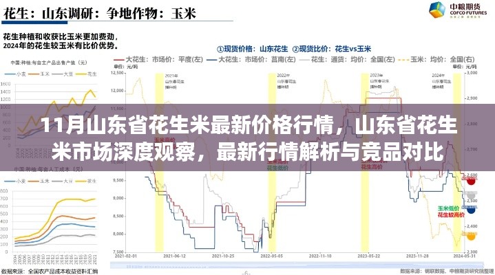 11月山東省花生米最新價格行情，山東省花生米市場深度觀察，最新行情解析與競品對比