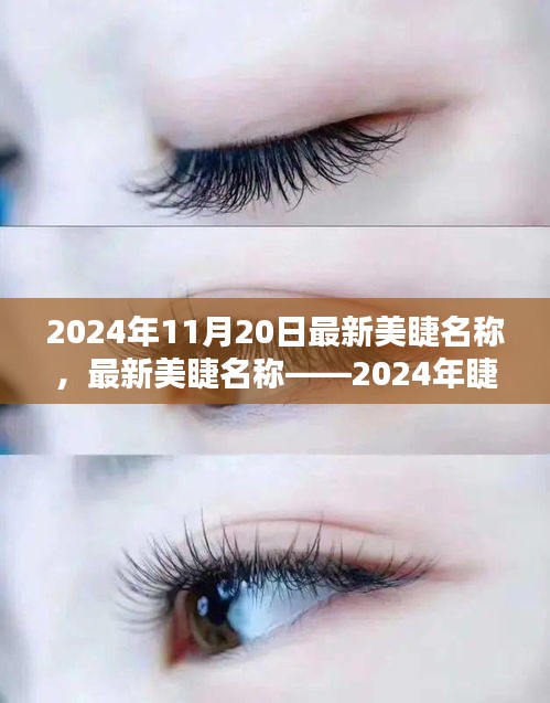 最新美睫名稱揭秘，2024年睫毛美學的革命性變革