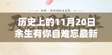 歷史上的11月20日，余生有你，自難忘——最新深度解析回顧與感悟