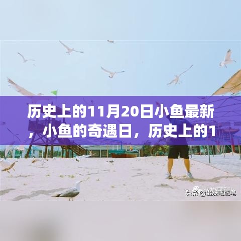 歷史上的11月20日，小魚奇遇日的溫馨小事回顧