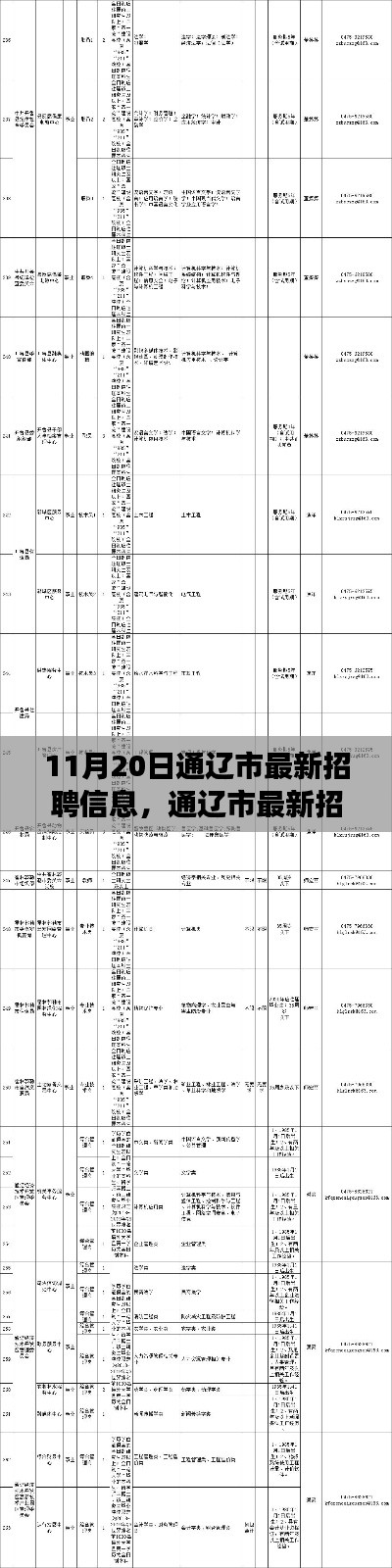 通遼市最新招聘信息概覽，職場人的福音（11月20日更新）