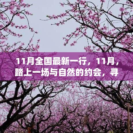 11月踏自然之旅，內(nèi)心的桃花源探尋記