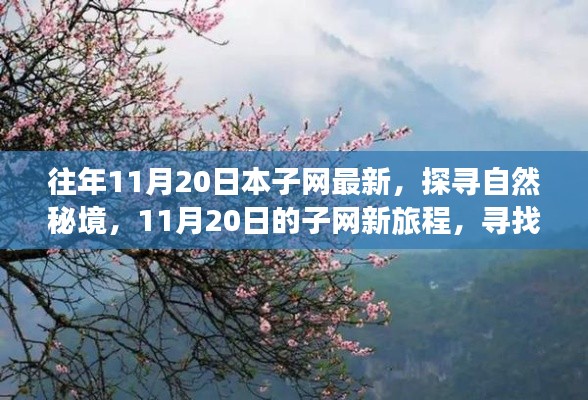 往年11月20日本子網(wǎng)最新，探尋自然秘境，11月20日的子網(wǎng)新旅程，尋找內(nèi)心的桃花源