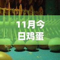 11月雞蛋價格最新行情解析，多方觀點交織的思考