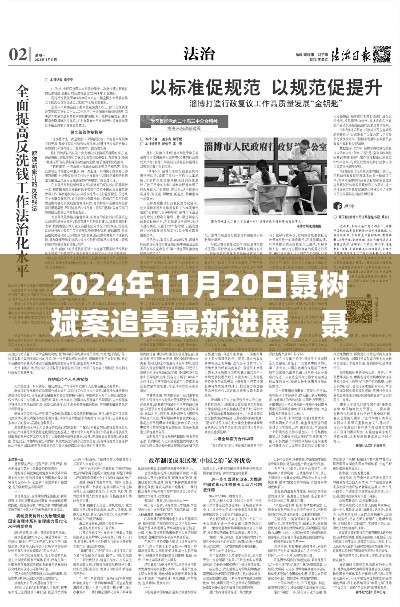 聶樹斌案追責最新進展深度解析，2024年11月20日追責進展及評測