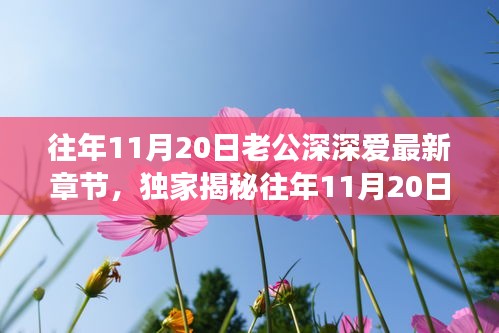 往年11月20日老公深情與高科技融合，全新智能伴侶揭秘，顛覆想象！