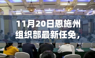 恩施州組織部最新任免動態(tài)解析及用戶群體分析，特性、體驗與競品對比報告