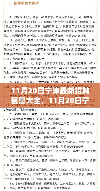 11月20日寧津最新招聘信息匯總，全面解讀招聘平臺(tái)特性與體驗(yàn)