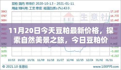 啟程尋找內(nèi)心平和，今日豆粕最新價格與自然美景之旅的寧靜故事