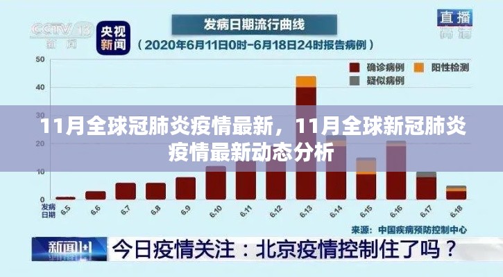 11月全球新冠疫情最新動態(tài)分析與綜述